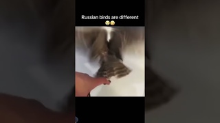 9 августа 2024 г.
