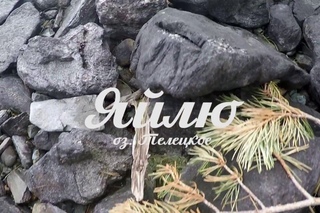 Яйлю. Телецкое озеро зимой. Горный Алтай.