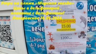 Утро на пляже Морская звезда,цены в дельфинарий и плавание с дельфинами.ЛАЗАРЕВСКОЕ СОЧИ