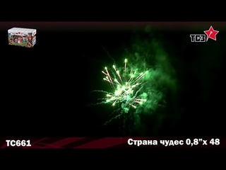 Батарея салютов “Страна чудес“ ТС661