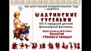 Фестиваль Шадринские гусельки. Коллектив Умники и умницы