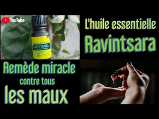 L'huile essentielle de ravintsara : le remde miracle
