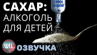 Почему сахар не лучше алкоголя (фруктоза как печеночный яд)/)/What i've learned на русском/Гвоб