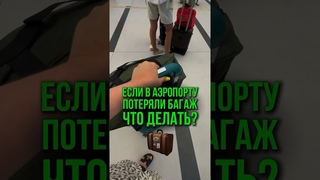 Если в аэропорту потеряли багаж, что делать? #юристаннамаевская #консультацияюриста #списаниедолгов