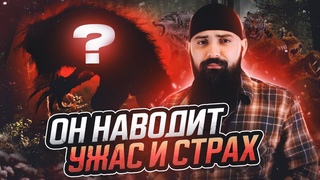 Какой зверь САМЫЙ СТРАШНЫЙ на планете? Ученые это выяснили, рассказываю подробности