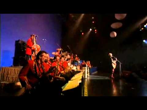 Brian Setzer Americano ( Live in