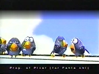 ForTheBirds1