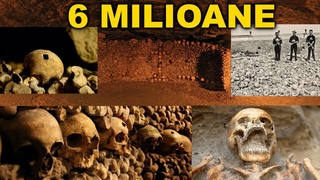 6 MILIOANE. Resetare. Istorie Interzis i muli schelei