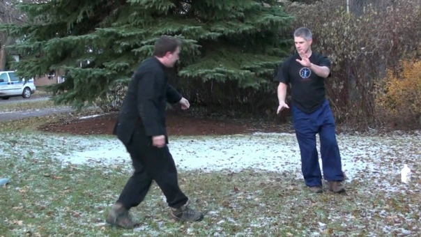 Baguazhang Jiulong: Applications and Training: Dragons Gate Stepping