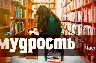 Мудрость. часть 1. Мудрость или знания. Характер и черты мудрости.