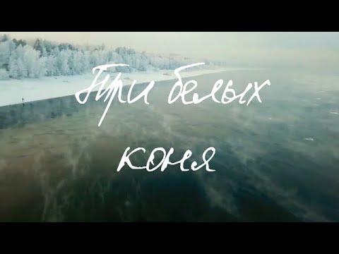 Три белых коня. Поют студенты