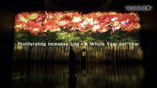 Proliferating Immense Life - A Whole Year per Year