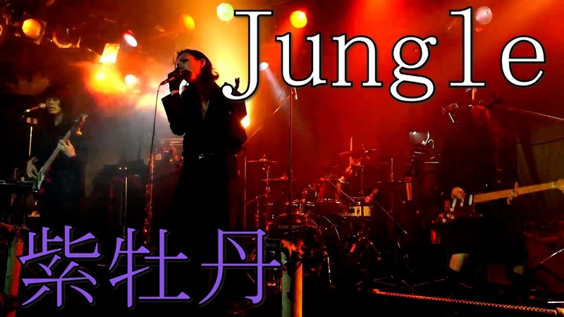 紫牡丹, Jungle, Live at 池袋 手刀 ikebukuro chop, about tess presents 3man Contrast