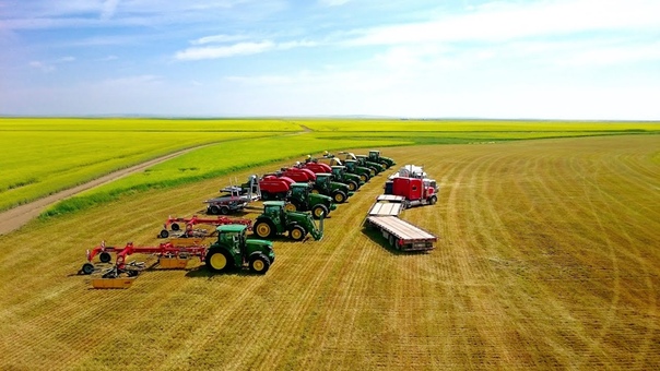 Hubka Farms LTD 2016 Hay and Grain