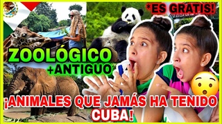 ZOOLÓGICO más ANTIGUO CDMX🇲🇽 2023 reaction ¡Cualquier NIÑO CUBANO🇨🇺 lloraría😭 por VISITAR algo ASÍ😪!