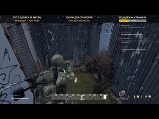 Нападение медведей  DayZ  CRAZY RUSSIA  ЧЕРНОРУСЬ  PVE сервер