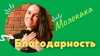 Молокака №16: Благодарность. В чем сила благодарности. Практика благодарности на каждый день.