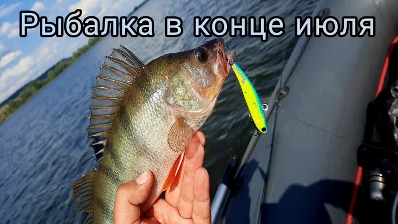 Рыбалка в конце июля. Ловля хищника на вечерней