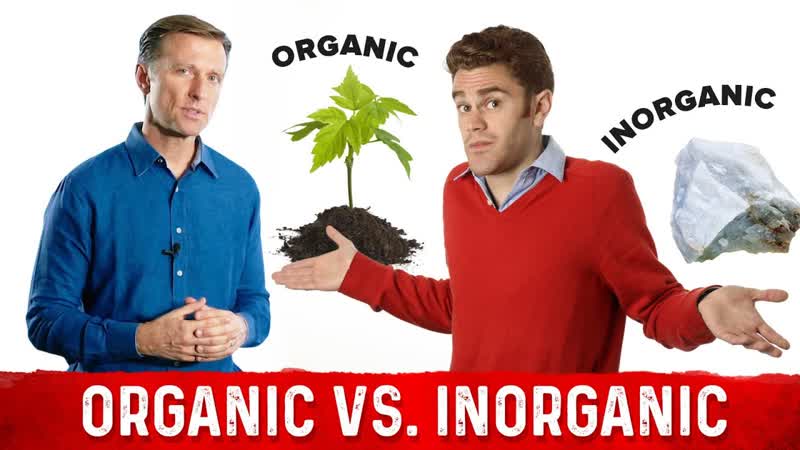 Organic vs. Inorganic Minerals: Biggest