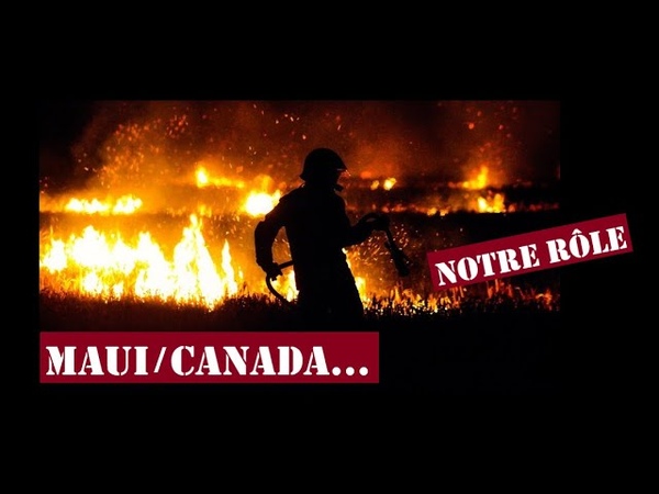 Incendies : notre âme SAIT quoi penser et quoi