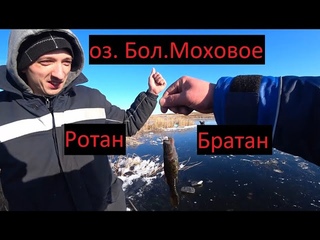 Рыбалка. Озеро Моховое. Ротан.