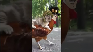DIO VS Jotaro