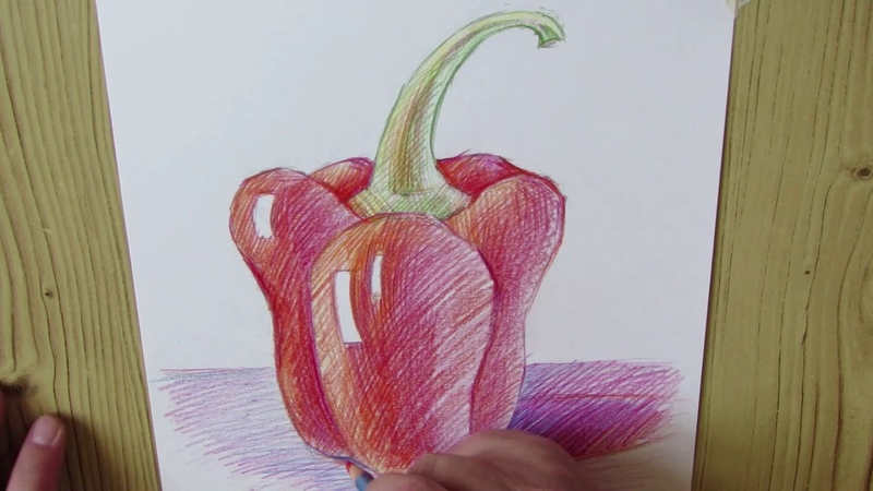 Red pepper Как нарисовать аппетитный перец цветными