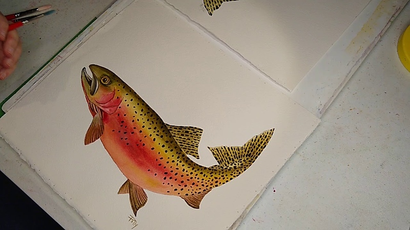Watercolor Cutthroat Trout Lesson 1 Begin Painting Of Eye, Mouth, And lower