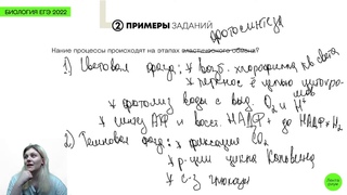 1.4. Пластический обмен. Фотосинтез, его этапы и значение в природе. Хемосинтез