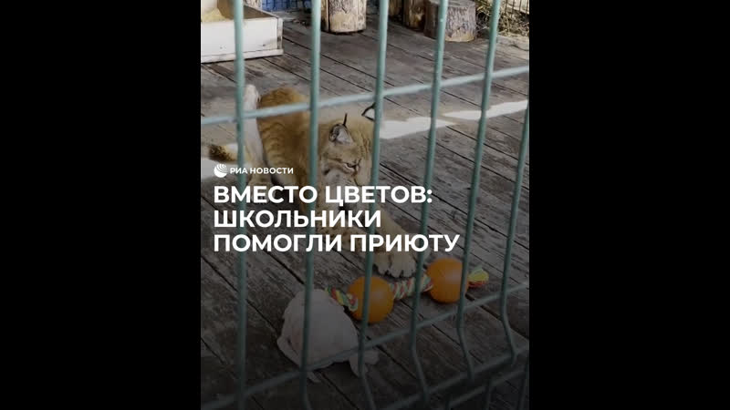Школьники помогли