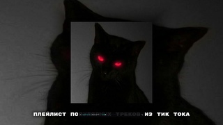 ПЛЕЙЛИСТ ПОПУЛЯРНЫХ ТРЕКОВ ИЗ ТИК ТОКА №3
