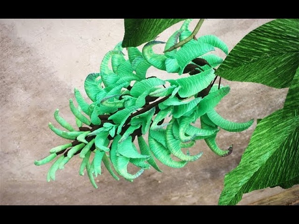 ABC TV, How To Made Jade Vine Paper Flower From Crepe Paper Craft