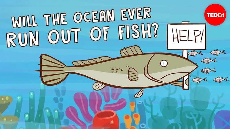 Will the ocean ever run out of fish Ayana Elizabeth Johnson and Jennifer