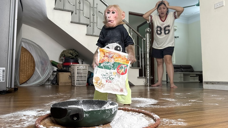 Bibi had an accident when he woke up early to make cakes to surprise