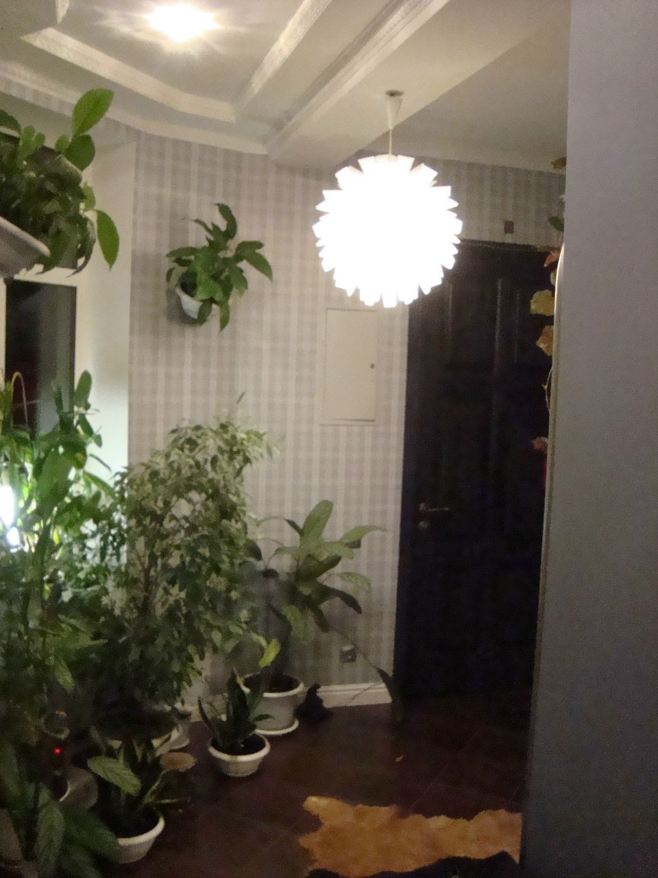 Петр Пакош | Санкт-Петербург