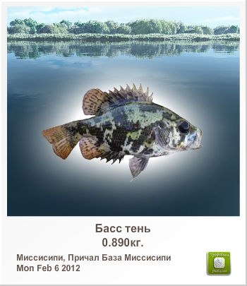 Светлана Лабудина | Вербилки