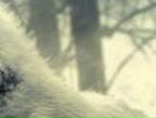 Олександр Клименко | Кропивницкий / Кировоград