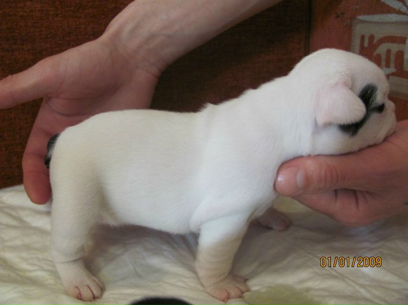 Наталья Долотова | Рыбинск