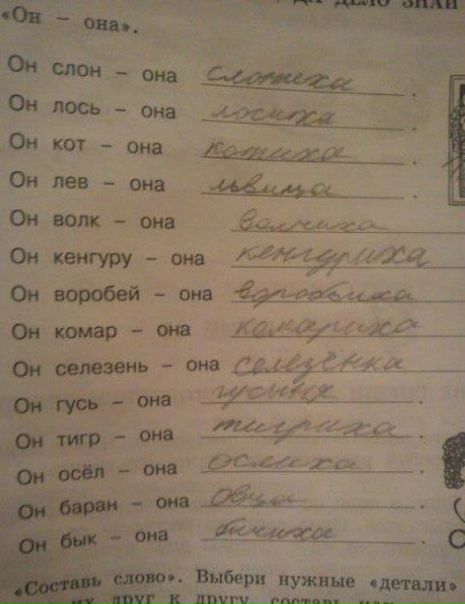 №118, Юлія Дмитренко, 38 лет №118, Юлія Дмитренко, 38 лет