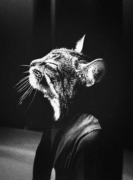 Григорий Жданов | Вильнюс