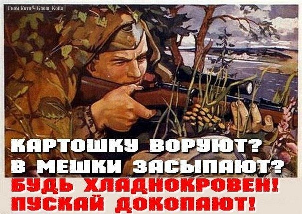 Оля Синица | Киев