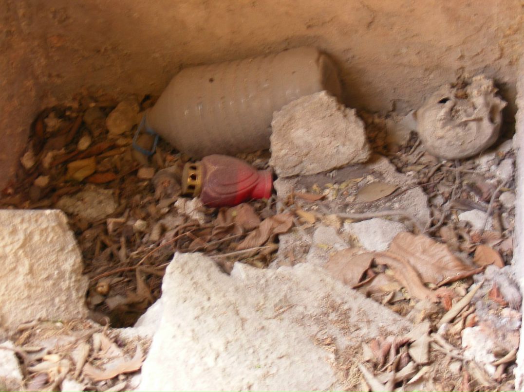 Александр Сотниченко Анатольевич | Санкт-Петербург