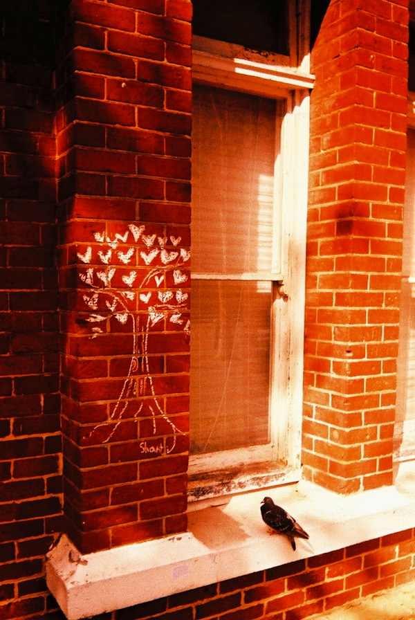 Nika Abramova | Москва