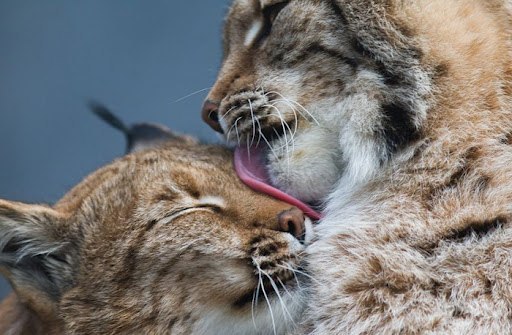 Вова Бураков | Гомель