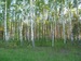 Андрей Бурдастиков фотография #37