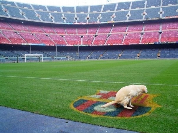 Дмитрий Лебедюк Юрьевич | Харьков