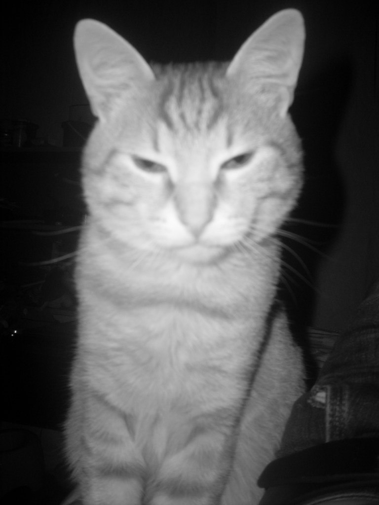 Виктор Климонов /one number/ | Андреевка