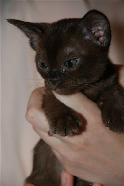 №44, Дарья Покатилова, Аскиз, Россия №44, Дарья Покатилова, Аскиз, Россия