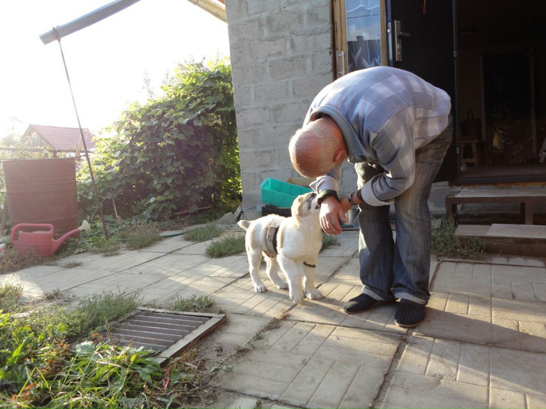 Наташа Копылова | Ногинск