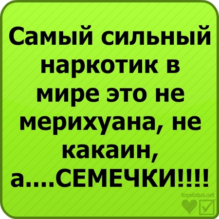 №32, Анна Шпет, Санкт-Петербург №32, Анна Шпет, Санкт-Петербург